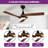 Caprise 52'' Ceiling Fan with LED Lights-951452667-971734227
