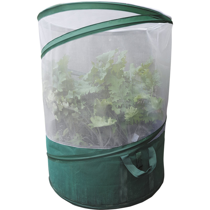 St. Helens Home & Garden Growing Kit
