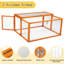 Chicken Coop