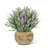 Lavande en fleurs dans un pot de fleurs artificielles