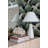 Benicia 1 Light Table Lamp