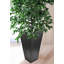 Boîte à fleurs en plastique-50844509-50844507