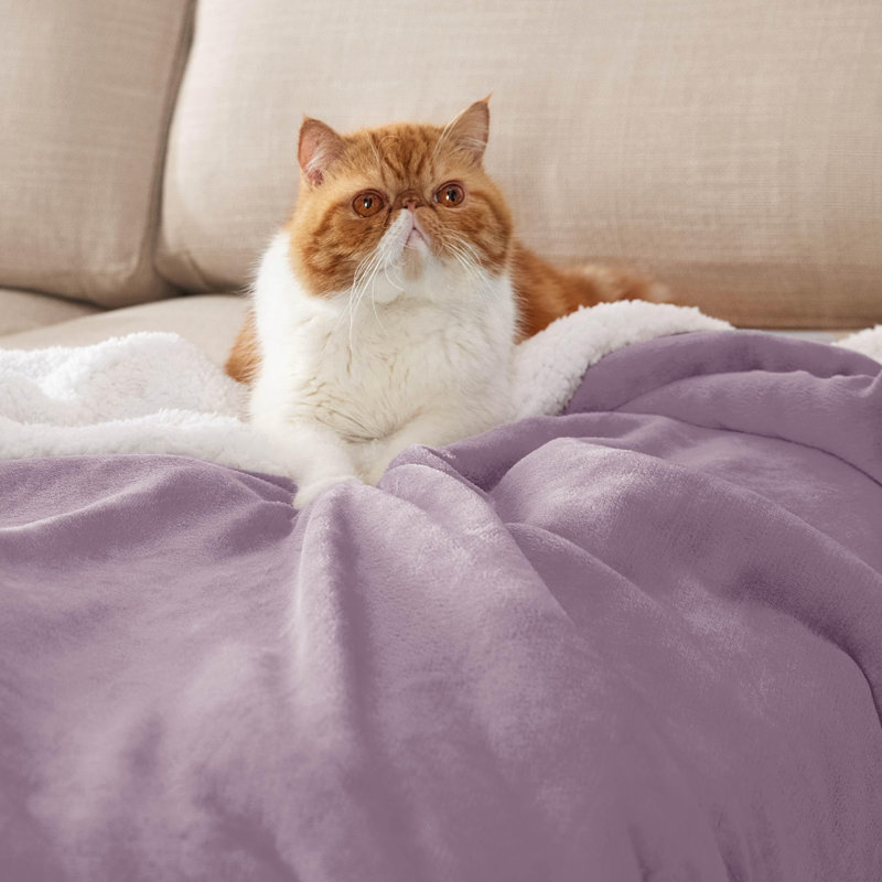 Couverture polaire sherpa douce et moelleuse BedBedsure GentleSoft pour lit simple, épaisse et confortable pour l'hiver et l'automne, idéale pour le canapé et le lit.