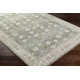 Delyse Oriental Machine Made Power Loomed Polyester Area Rug in Olive/Gold/Beige/Gray
