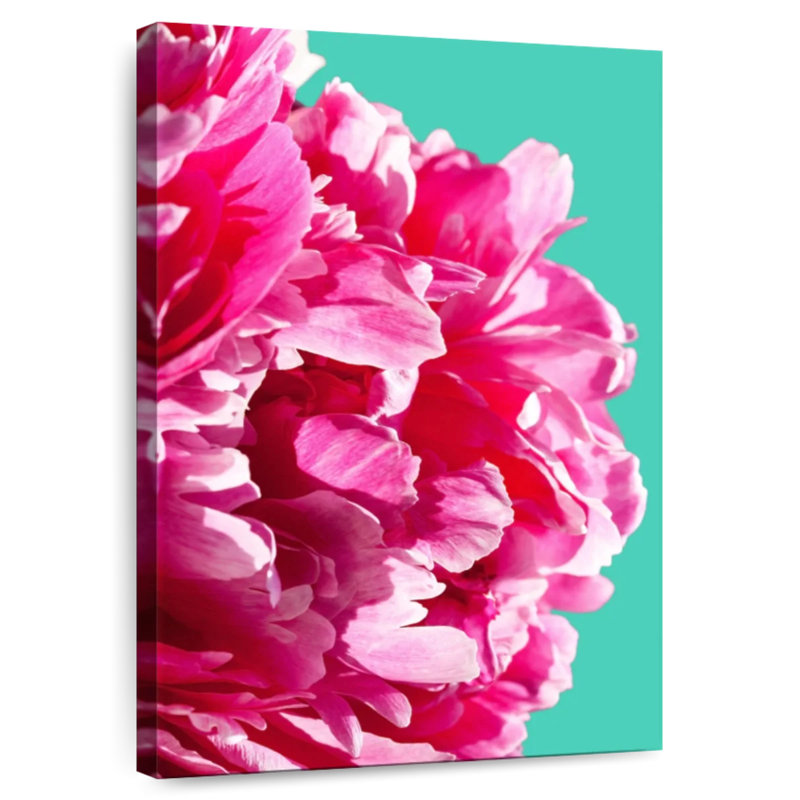 Pivoine rose Harnek, H 48 po x l 32 po