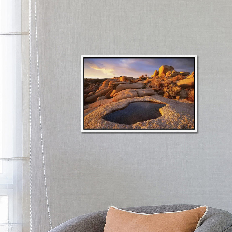 Water That Has Collected In Boulder, Joshua Tree National Park, California 1 Piece Wall Art on Canvas, White Framed