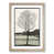 Oak Framed