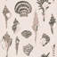 Sullivan’s Island Shells Serene Sky Wallpaper by Megan Molten-1452724802-1452724805