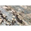 One-of-a-Kind 8'10" X 12'1" Area Rug