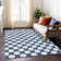  Colturo Area Rug