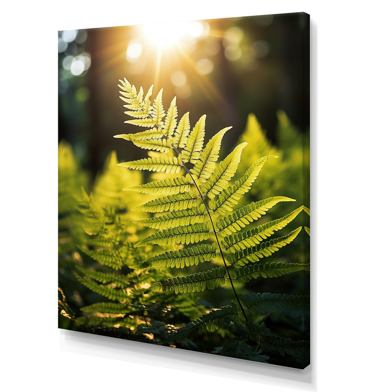 «Wonderland Ferns In Green World», reproduction sur toile, Toile tendue, H 44 po x l 34 po x P 1,5 po
