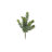 Sedum Arrangement