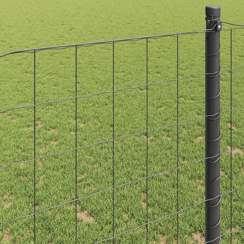 120cm H x 1000cm W Iron Fence Panels Included