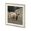 Bernie the Highland Cow - Framed Art Photograph Print Matted under Glass