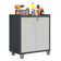 29.5” W Metal Removable Garage Storage Cabinet with Adjustable Shelf.