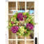 28" Assorted Hydrangea Wreath with Sedum and Fern Leaves