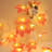Birgit 0.5' Outdoor LED Battery Powered 1 Novelty String Light