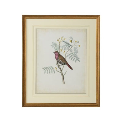 Delicate Birds II Print