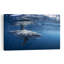 Impression d'art mural majestueux requin blanc contemporain-1906504428