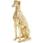 Statue de chien Teignmouth
