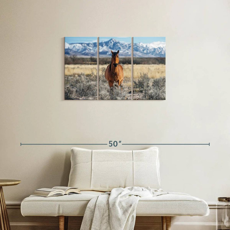 Horse At Winter, 20" H x 33" W