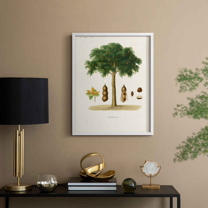 Arbre antique avec fruit, impression encadrée en bois massif, H 15 po x l 12 po, Blanc