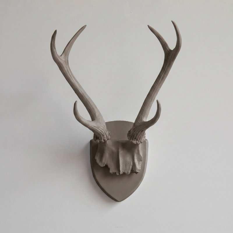 Faux Taxidermy Deer Antler Wall Décor, Griffin