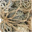 Remplissage de vase Petula-139740663