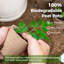 Paquet de 100 pots de bébé de 8 cm biodégradables avec drainage - pots écologiques pour le démarrage des graines et la propagation des plantes