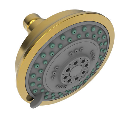 Multi Function Fixed Shower Head