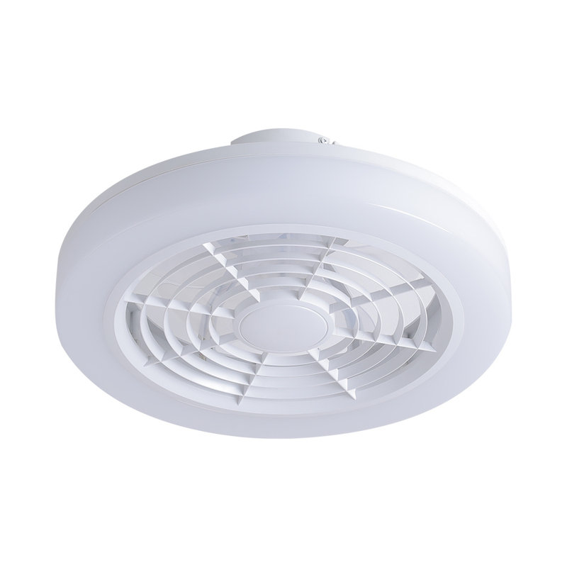 Coleon Ceiling Fan with LED Lights