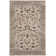 Bristol Point Performance Oriental Rug