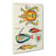 East Indies Fish & Crab Illustrations XLVI by Zhang Zeduan - Wrapped Canvas-55342715