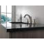 FLHID 2H WIDEPREAD-99469369