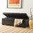 Maiden Upholstered Storage Bench-500830451