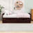 Twin Size Storage Platform Bed with Drawers-355773522