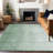 Premium Machine Washable Prisco Green Rug-325619755