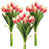 Cerise/Green is out of stock