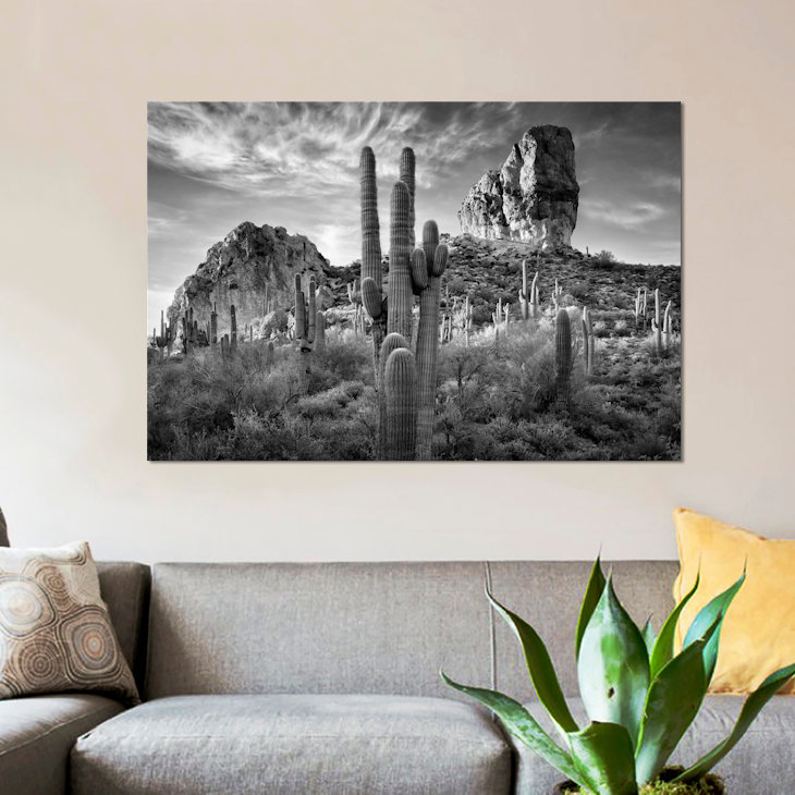 «B&W Desert View I» par David Drost - reproduction de photo sur toile tendue, H 18 po x l 26 po x P 1,5 po, Toile tendue