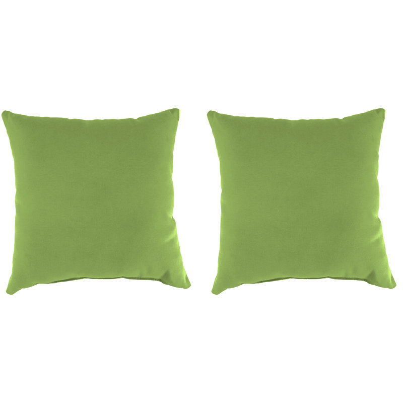 Sunbrella Outdoor Throw Pillow, Canvas Gingko