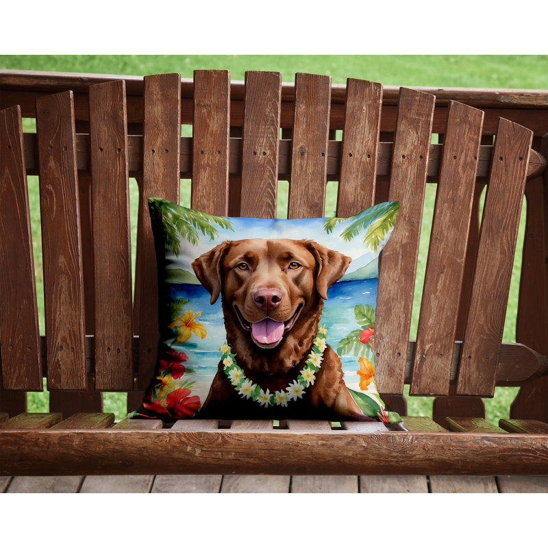 Other/No Pattern Outdoor Throw Pillow, 14" H x 14" W