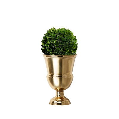 Edgell 7.5 " H Faux Boxwood Topiary