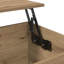Lift Top Coffee Table with Storage-1855284313