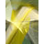 Shapes 17996 Print by Rica Belna-65805287-83319040