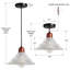 1- Luminaire suspendu simple avec verre transparent