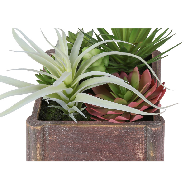 Artificial Succulent