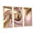 Toile avec cadre naturel