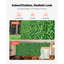 Mur de plante artificielle
