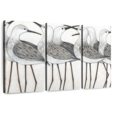 Shorebird Social