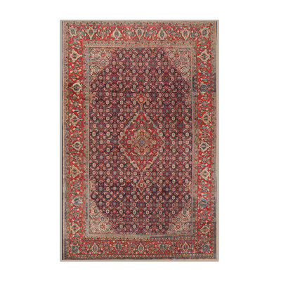Robelmont Oriental Indoor Rug